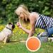 WENYIEN 3 Piece Frisbees for Dogs Pet Flying Saucer Rubber Flying Disc Interactive Outdoor Toy 7 Inches/18 cm Perfect for Dog Throw Training Playing and Catching - Buy Online on GoSupps.com