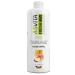 ASVITA Beverage Concentrate Fresh Mix 1:80 - Sugar-Free Syrup for Water Bubblers - 26 Delicious Flavors (Iced Apple) - 1L Bottle - International Shipping Available - Buy Online on GoSupps.com