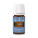 Young Living Ledum Premium Essential Oil - 5ml - Natural Meditation & Yoga Diffuser Scent - Spiritual Cleansing and Harmonizing Aroma - Prayer and Massage Blend