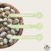 SIVIFOOD Pistachios in shell natural - raw pistachio kernels unroasted unsalted untreated premium quality natural nuts large pack raw pistachios (500g) - Buy Online on GoSupps.com