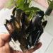 Home Decoration 400-500g Hot Quartz Cluster Natural Cairngorm Crystals Flowers Smoky Quartz Cluster s Stone Crystal Reiki