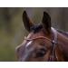 Buy Netproshop Leather Forehead Straps Eldorado Wave Shape with Rhinestone for Bridle - COB/Full Brown Flame - International Shipping Available - Buy Online on GoSupps.com