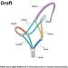 Harrison Howard Super Sturdy Horse Rope Training Halter - 1/4 Inch Stiff Cord - Turquoise Yearling - Buy Online on GoSupps.com