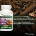 Vitanergy Super Strength Cinnamon Extract Healthy Blood Sugar Level Cardiovascular Support 150mg Ultra 20:1 Extract Rate (from 3000mg Dry Cinnamon) - 60 Capsules Supplement - One Capsule per Day-Made in Canada - Buy Online on GoSupps.com