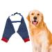 Dog Elbow Brace Protector Pads for Canine Elbow and Shoulder Support Elbow Hygroma Dysplasia Osteoarthritis Elbow Calluses Pressure Sores and Shoulder Dislocation (L)