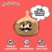 Crazy Go Nuts Garlic Parmesan Walnuts 4.5 oz (3-Pack) - Healthy Keto Snacks | Low Carb, Gluten-Free, Superfood with ALA Omega-3 Fatty Acids, Good Fats, and Antioxidants - Buy Online on GoSupps.com