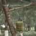 Alnicov 2 Pack Camping Hook Hangers - Durable Lantern & Lamp Hooks for Fishing Camping Traveling | Black Tent Stick Post Hooks - Buy Online on GoSupps.com