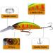 Weemoment Bass Fishing Bait Kit Set | Topwater Wobbler Swimbait | Hard Bait Minnow Popper & Crank Baits for Freshwater & Saltwater Fishing - Buy Online on GoSupps.com