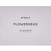 Byredo Byredo Flowerhead by byredo for women - 3.3 Ounce edp spray 3.3 Ounce - Buy Online on GoSupps.com
