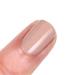 Orly Nail Polish Plot Twist - Shaky Alibi | Fall Color Collection | International Shipping Available - Buy Online on GoSupps.com