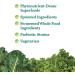 Garden of Life Perfect Food Super Green Formula - 150 Vegetarian Caplets for Ultimate Nutrition - Buy Online on GoSupps.com