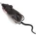 2pcs Freshwater Soft Rubber Mouse Rat Fishing Lures - Dual Hook Bass Bait in Dark Grey - Buy Online on GoSupps.com