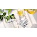 Wellfinitea Herbal Tea (30 teabags) Organic Gymnema Inodorum Pandanus Palm & Stevia blend. Sugar regulation support appetite suppressant and aides in weight loss. Sugar blocker. - Buy Online on GoSupps.com