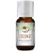 Good Essential 10ml Oils - Coconut Fragrance Oil - 0.33 Fluid Ounces Coconut 0.33 Fl Oz (Pack of 1)