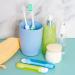 Fengek 10-Piece Mini Folding Travel Toothbrush Kit with Case - Portable for Adults, Camping, Hiking, Business Trips - 2 Styles, 9 Colors - Buy Online on GoSupps.com
