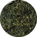  Lerbs & Hagedorn Japanese Sencha Fuji Green Tea 1 kg - Buy Online on GoSupps.com