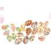 40 Pcs Summer Earrings Colorful Jewelry Bracelet Beads DIY Shell Earring Pendant Charm Spiral Miss 1.9x1.6x1cm Colorful - Buy Online on GoSupps.com
