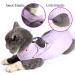 LIANZIMAU Cat Surgical Recovery Suit - Purple Medium - E-Collar Alternative & Pajama for Abdominal Wounds - Indoor Pet Clothing - Buy Online on GoSupps.com