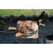 Walrus Oil 32 oz Jug - Cutting Board and Butcher Block Food-Safe Wood Oil - Buy Online on GoSupps.com