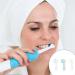 20-Piece Toothbrush Set with Protective Cases | Travel Storage for Electric & Manual Toothbrushes | Multicolored Etui Protection - Buy Online on GoSupps.com