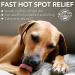 Vet's Best Hot Spot Relief Spray - 250ml | Soothes Dry Skin, Itching & Hot Spots | No-Sting & Alcohol-Free - Buy Online on GoSupps.com