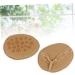 Buy Healvian 3 Pairs High Heel Shoe Inserts - Invisible Forefoot Pads for Comfort & Support - Buy Online on GoSupps.com