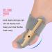 Bunion Corrector Toe Straightener | Adjustable Orthopedic Toe Separator for Hallux Valgus Relief - Buy Online on GoSupps.com
