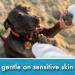 Oatmeal Aloe Vera Dog Shampoo for Dry Itchy Flaky Skin Gentle on Sensitive Skin & Hypoallergenic | Natural Soothing Anti Itch Anti Dandruff & Allergy Relief Dog Conditioner | Pikes Pouches (300ml) 300 ml (Pack of 1) - Buy Online on GoSupps.com