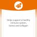 Natural Factors Tangy Orange Vitamin C 500 mg - 90 Chewable Wafers - Buy Online on GoSupps.com