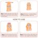KEYRI 2PCS Heatless Hair Curler Heatless Curling Set Heatless Curlers Headband with Hairnet No Heat Hair Curlers for Long/Medium Hair Sleeping Overnight Lazy Curlers DIY Hair Styling Tools (Champagne) - Buy Online on GoSupps.com