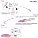 2-Pack Digital Pregnancy Test - Fast, Easy-to-Use with Clear Yes/No Results - Buy Online on GoSupps.com