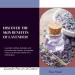 Lavender Pore Care & Oil Control Face Wash | AHA BHA & PHA | 120ml - Deep Cleanse & Refresh Your Skin - Buy Online on GoSupps.com