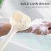 Back Body Scrubber Brush for Shower | Long Handle Peeling Brush for Men & Women | Non-Slip 43cm Cream White - Buy Online on GoSupps.com