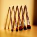 Spectrum Collections Pantherine Face Make Up Brushes Spectrum Makeup Brushes Set Including Foundation Contour and Blusher Brushes Soft Synthetic Bristles Brown 5 Piece Makeup Brush Set - Buy Online on GoSupps.com