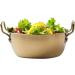 Stainless Steel Bowls for Kids - Snacks Bowl Double Ear - Golden Instant Noodle Bowl with Handle Snack Bowl Suitable for Rice Desserts Gold 14cm - Buy Online on GoSupps.com