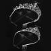 Frcolor 2 Pack Rhinestone Tiara Crown Headband for Wedding, Bridal, Birthday - Crystal Princess Tiara with Comb for Women and Girls - Buy Online on GoSupps.com