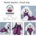 Warm Dog Jacket with Dishes for Small Dogs | Outdoor Sports Vest for Puppies & Cats - Size M (Purple) - Buy Online on GoSupps.com