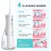 Buy Black Water Flosser & Oral Irrigator | Deep Cleaning Oral Care System - International Shipping - Buy Online on GoSupps.com
