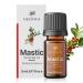 Nedyra Mastic Oil 0.17 fl oz 100% Pure and Natural Pistacia Lentiscus Essential Oil, Premium Oil for Aromatherapy & Mastic Skincare