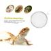 BESPORTBLE 2pcs Pet Sand Shovel Fish Tank Filters Terrarium Tank Fine Sand Sifter Reptiles Barbed Wire Silver 26x14cmx2pcs Silverx2pcs - Buy Online on GoSupps.com