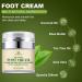 Tea Tree Oil Foot Moisturizer Moisturizing Repair Cream for Thick Cracked Rough Dead and Dry Skin Moisturizes Cracked Heel Repair  - Buy Online on GoSupps.com