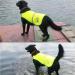 Ustnir High Visibility Security Vest for Dogs | Reflective Safety Vest to Keep Pets Safe from Cars & Hunting Accidents - Buy Online on GoSupps.com