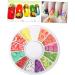 Housoutil 5pcs Fruit Clay Nail Art Fruit Slices Diy Nail Art Stickers Hair Parting Tool for Finger Polymer Slices Fruit Nail Decoration Fruit Slice Nail Sticker Boxed Disc - Buy Online on GoSupps.com