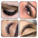 Finished 6D Eyelash Compartment Extensions | C Curl 0.10 Strength | Mix 8-15 Individual Lengths | Volume Technology | Matt Black | Shop Now - Buy Online on GoSupps.com