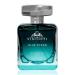 Viscont../i Blue Ocean Perfume For Men Eau De Parfum Aquatic Fragrance with Citrus Fruity Musk & Cedarwood Long Lasting Scent and Anti-Stain Luxury Perfumes Outing & Sports 100 ml - Buy Online on GoSupps.com