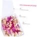VINTORKY 100pcs Double-ended Eyeshadow Makeup Sponge Sponge Applicator Plastic - Buy Online on GoSupps.com