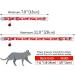 Tagme Personalized Cat Neck Band - Adjustable Collar with Safety Closure & Custom Name/Phone - 2-Pack Red (18-28 cm) - Buy Online on GoSupps.com