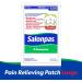 Salonpas Pain Relieving patch - Large 4 count - Buy Online on GoSupps.com