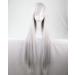Kissparts 80cm Silver White Straight Hair Cosplay Wig with Wig Hairnet and Comb Silver / White