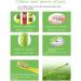 BAIR K3 Children's Electric Toothbrush - Sonic Vibration Waterproof Design & Pressure Sensing - Ideal for Kids (Ages 3-10 - Buy Online on GoSupps.com